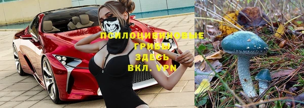 гидропоника Алзамай