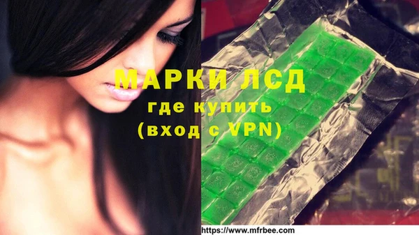 гидропоника Алзамай