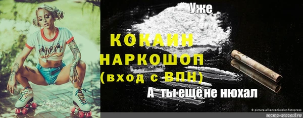 гидропоника Алзамай
