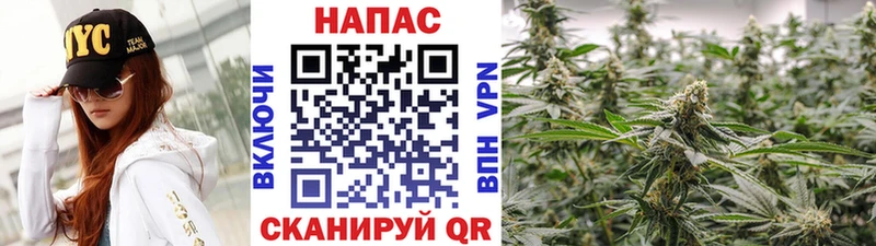 blacksprut вход  Нюрба  Шишки марихуана сатива 